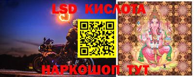 дживик Ярославль