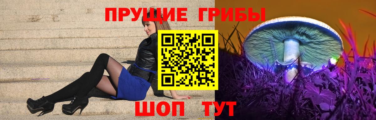 Галлюциногенные грибы Psilocybe  Вход с VPN  Белгород 